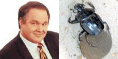 Rush Limbaugh, Dung Beetle (left, right)