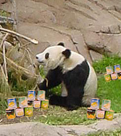 Panda Wu, Revered Revolutionary Leader of the Panda's Republic of Panda